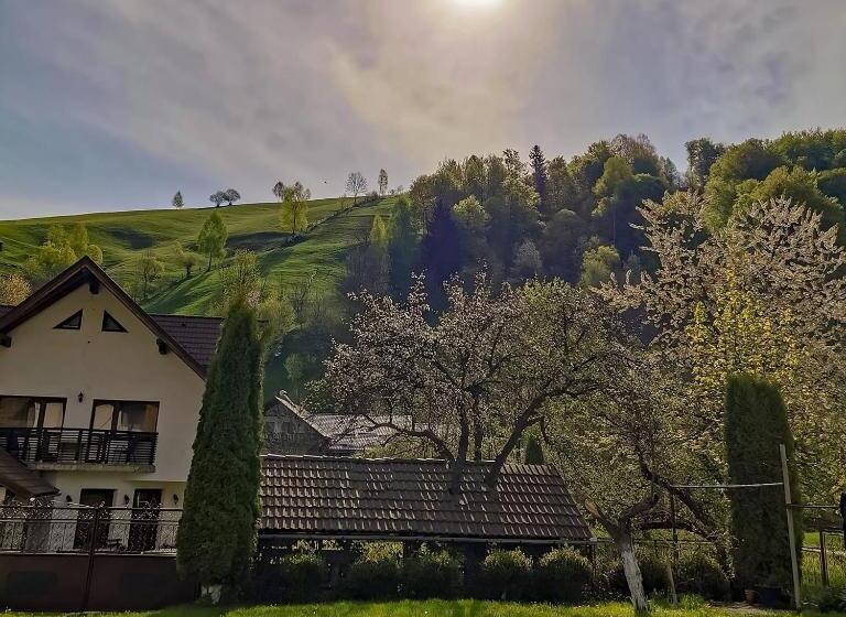 Pensionat Bucuria Muntelui