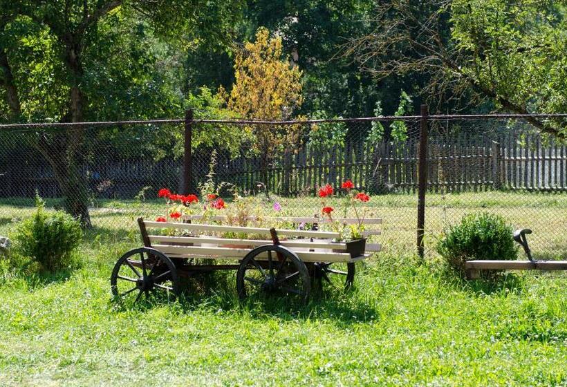 Pensionat Bucuria Muntelui