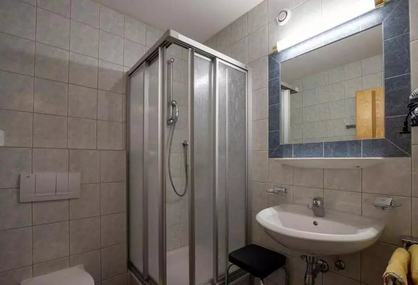 ペンション Gidis Hof