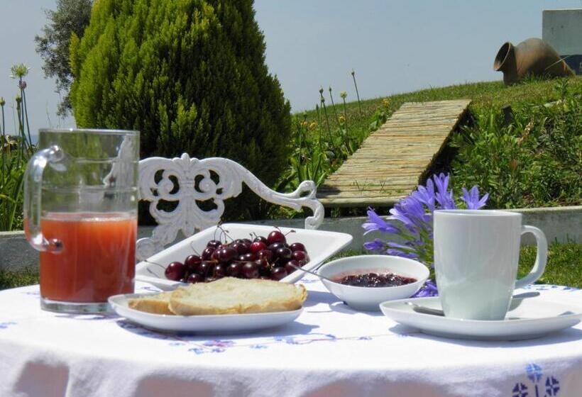 پانسیون Monte De Portugal