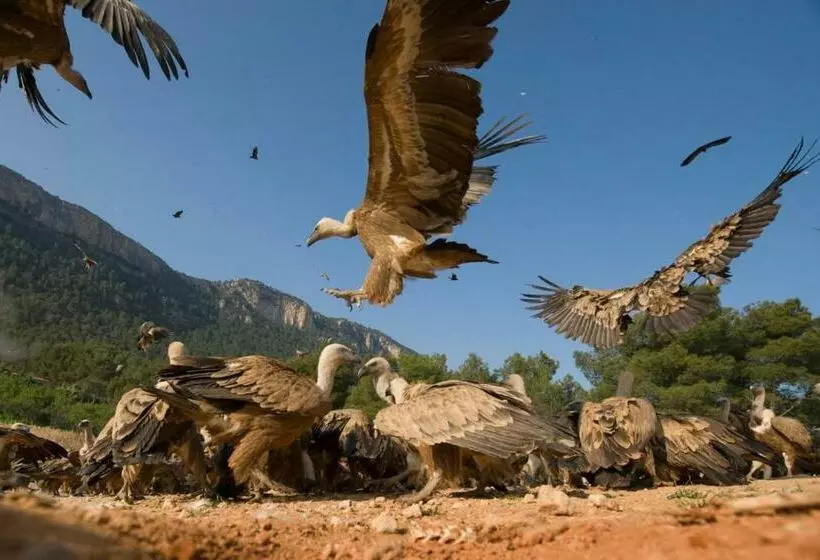 پانسیون Observatorio De Aves Mas De Bunyol