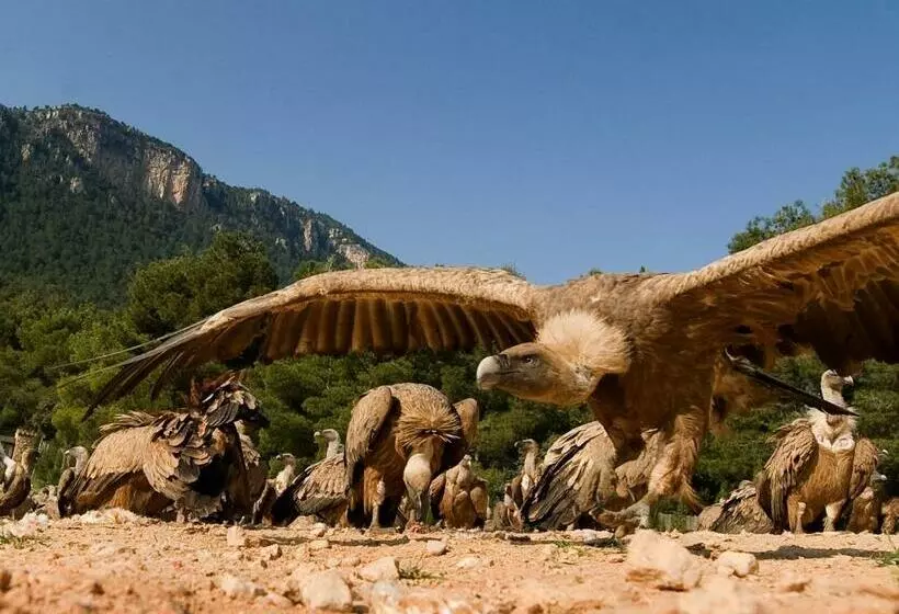 پانسیون Observatorio De Aves Mas De Bunyol