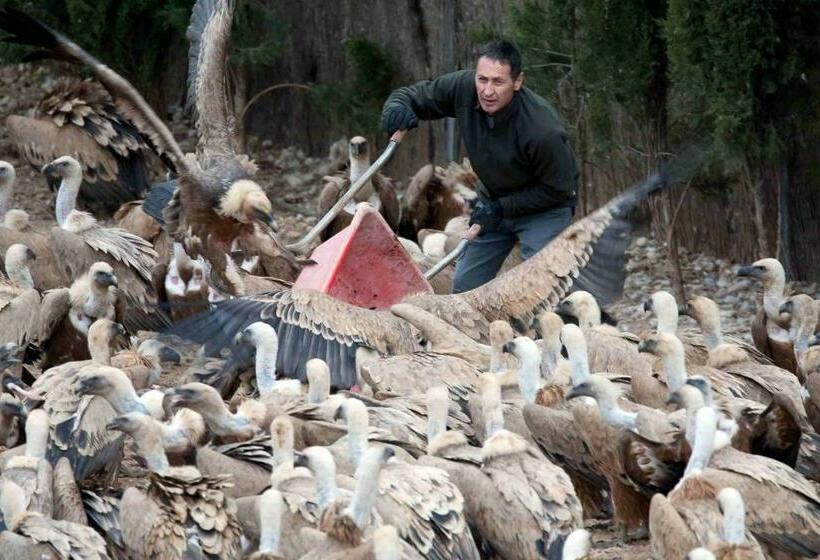 Pension (Hôtel basse catégorie) Observatorio De Aves Mas De Bunyol