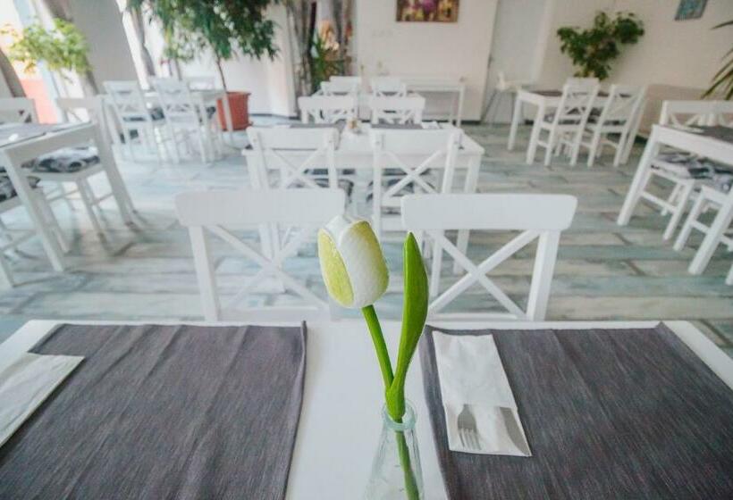 بنسيون Penzión Exclusive