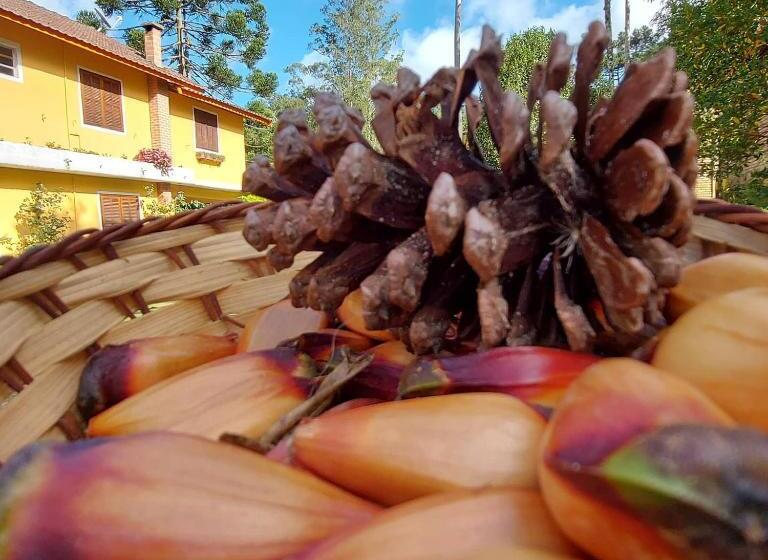 膳宿费 Pousada Recanto Da Montanha