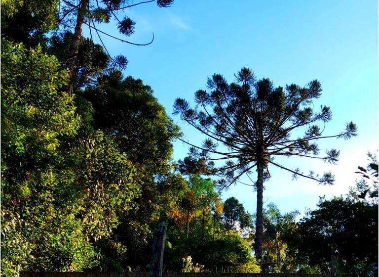 膳宿费 Pousada Recanto Da Montanha