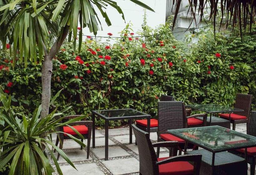 Pensiune Timeless Hostel