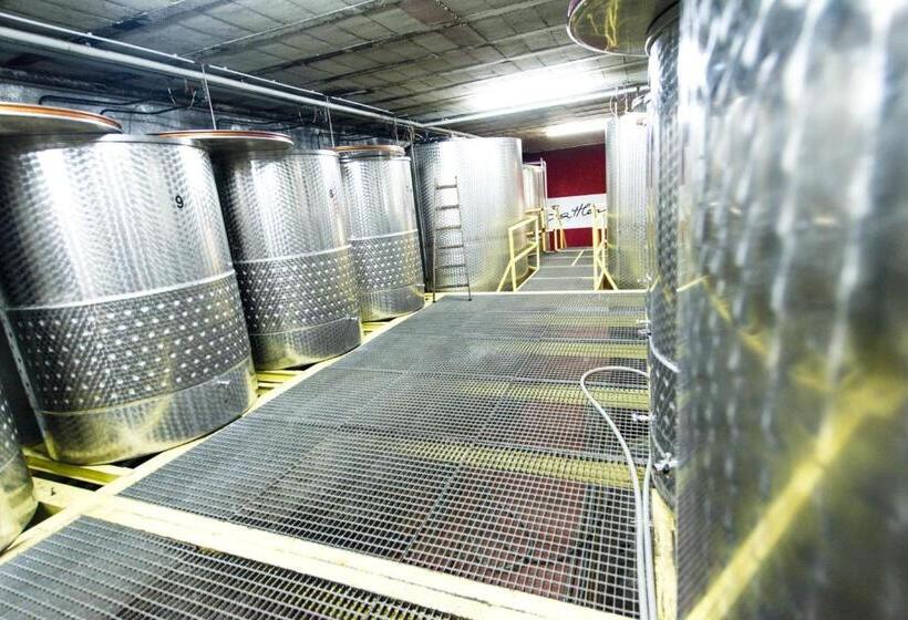 بنسيون Weingut & Gästehaus Zum Seeblick   Familie Sattler