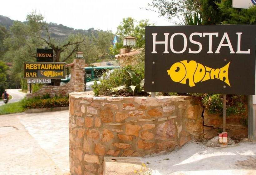 Отель Hostal Ondina