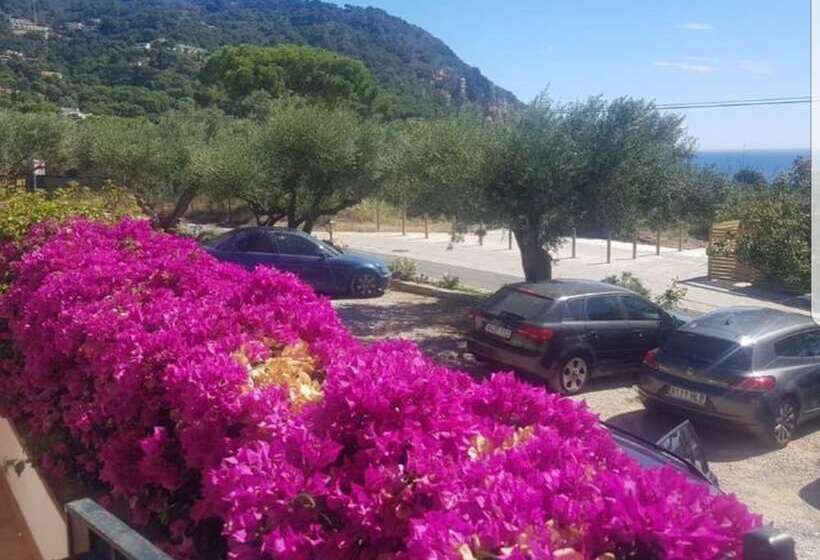 Отель Hostal Ondina