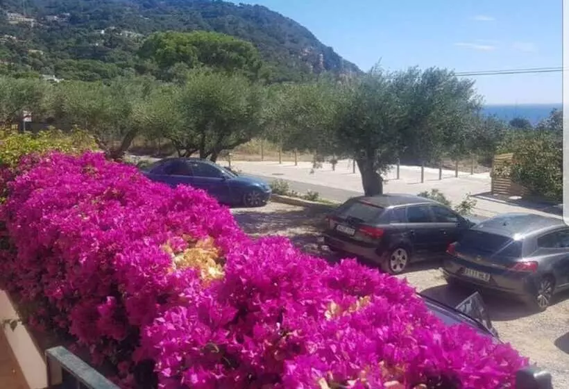 ホテル Hostal Ondina