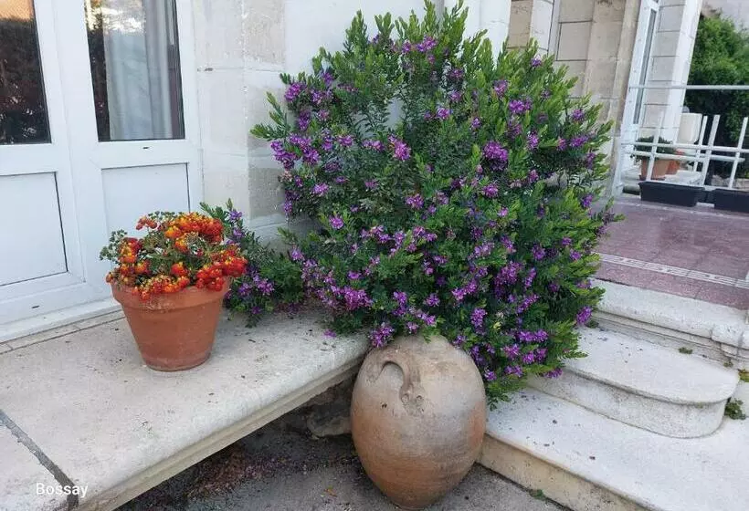 Majatalo Chambres D Hôtes L Insulaire