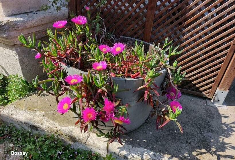 膳宿费 Chambres D Hôtes L Insulaire