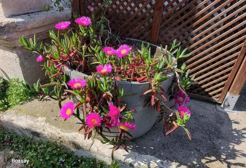 Majatalo Chambres D Hôtes L Insulaire