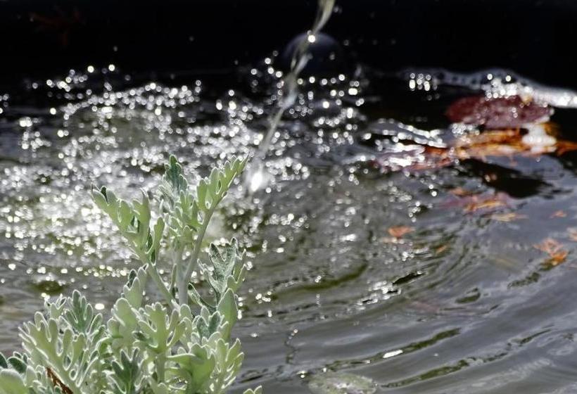 膳宿费 Rider Beach