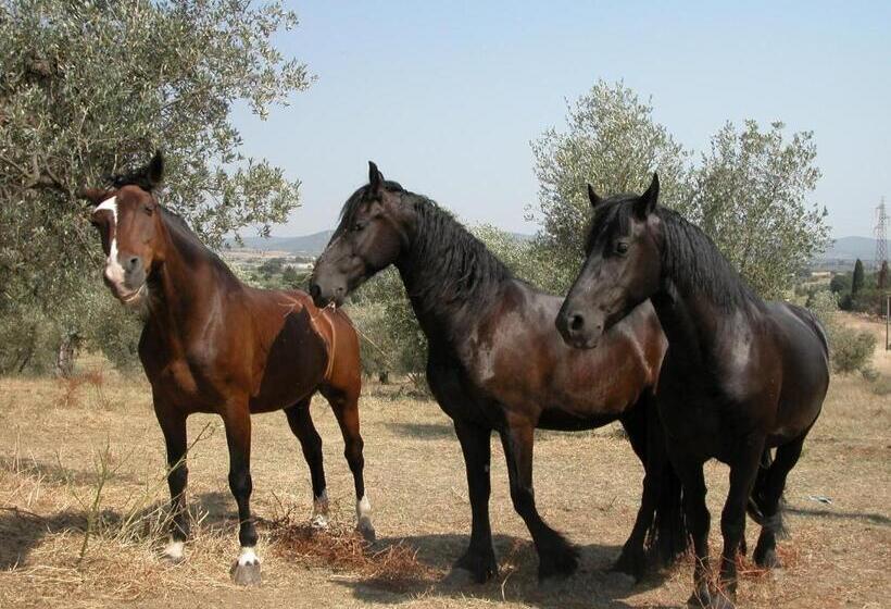 فندق Agriturismo La Fontanella & Glamping