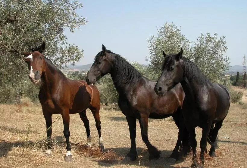 Hotelli Agriturismo La Fontanella & Glamping