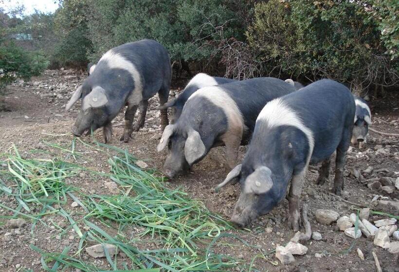 فندق Agriturismo La Fontanella & Glamping