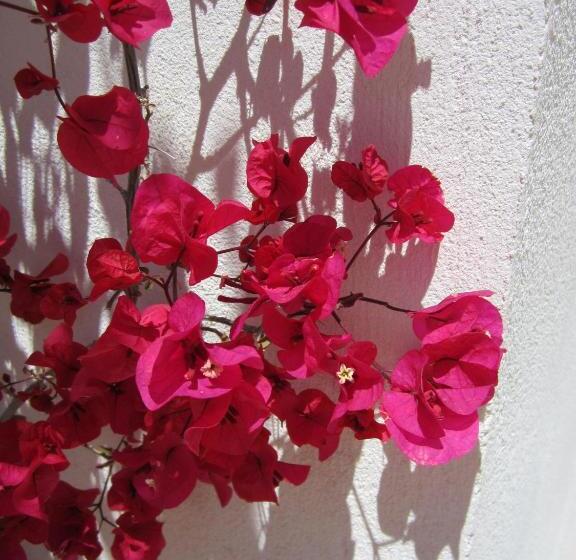 膳宿费 Boutique Hotel El Olivar