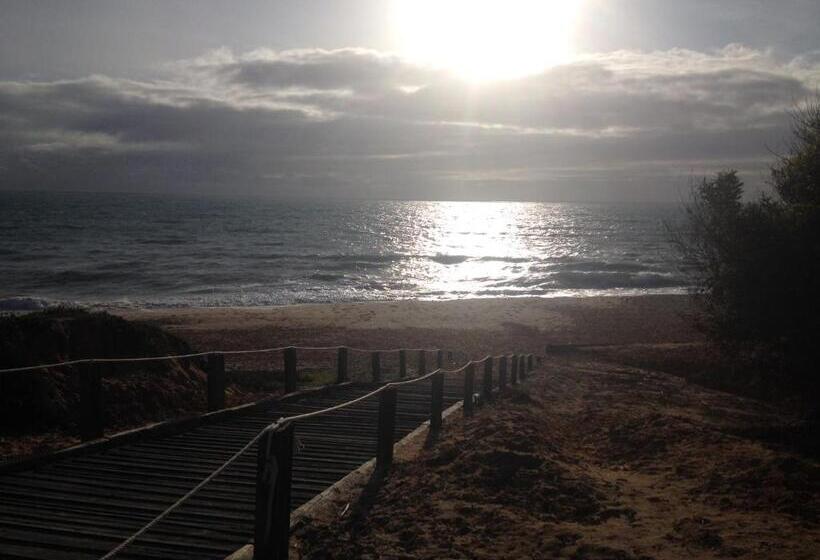 پانسیون Guesthouse Rsa By Umbral