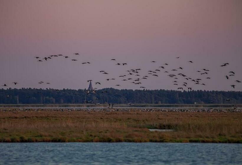 Pensió Hus Sünnenkringel