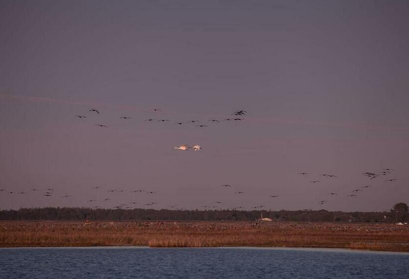 Pensió Hus Sünnenkringel