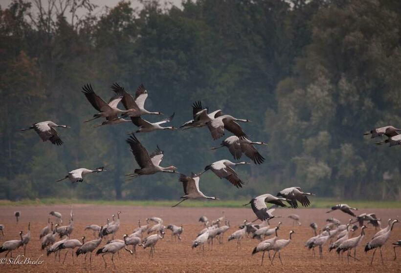Pensió Hus Sünnenkringel