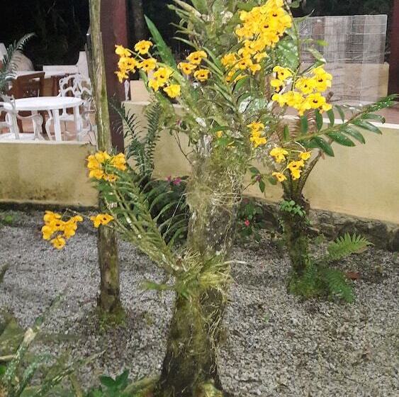 Pension Pousada Recanto Dos Tangaras