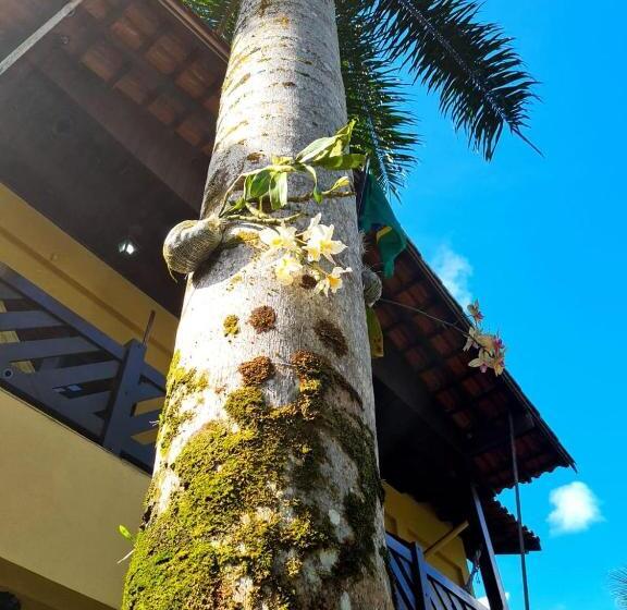 Pension Pousada Recanto Dos Tangaras