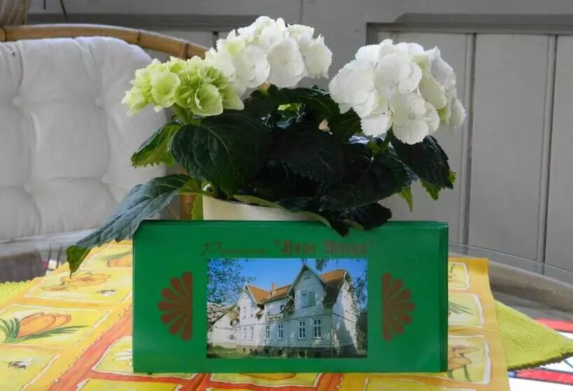 Pension Haus Marga