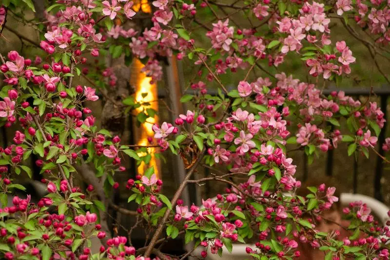 Retkeilymaja Chamberlin Inn