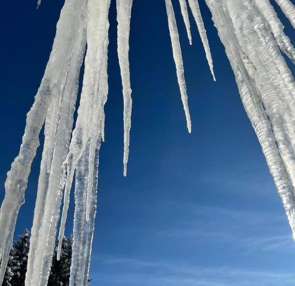 Общежитие Naturgut Gailtal