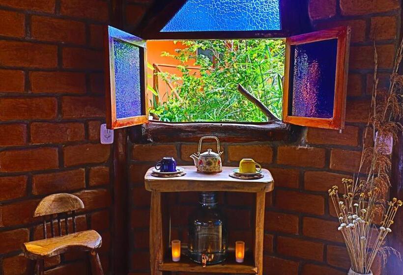 پانسیون Buddy's Hostel & Pousada Alto Paraiso