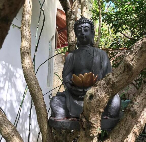 پانسیون Buddy's Hostel & Pousada Alto Paraiso