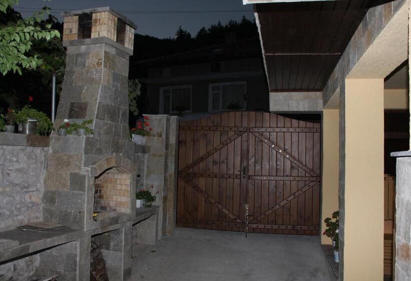 פנסיון Guest House Stelia