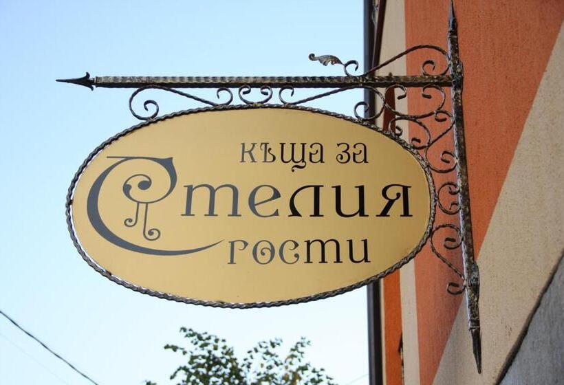 פנסיון Guest House Stelia