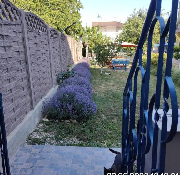 펜션 Tourist Paradis Costinesti