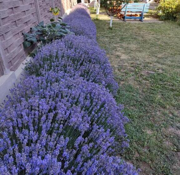 펜션 Tourist Paradis Costinesti