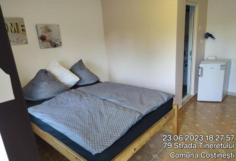 펜션 Tourist Paradis Costinesti