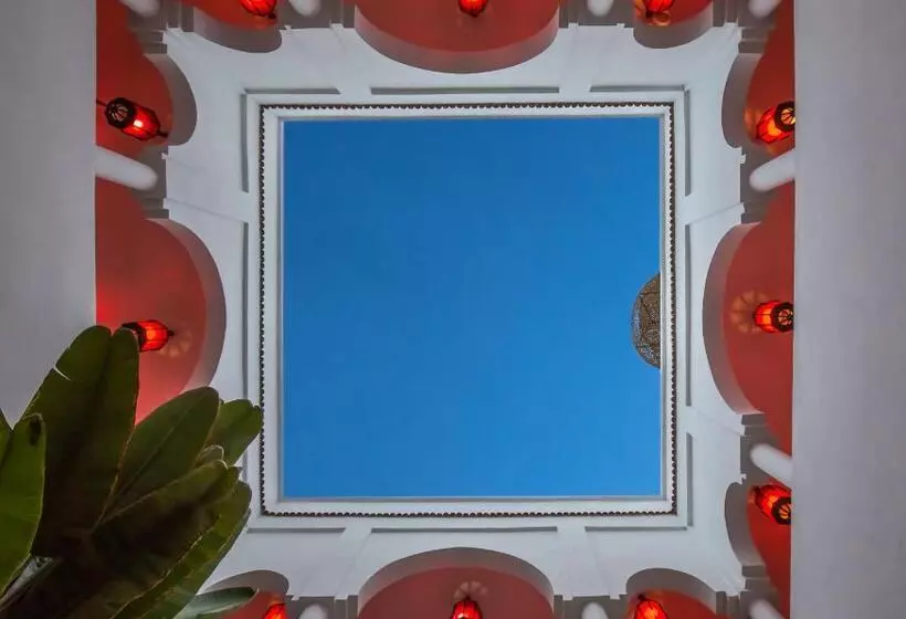 Riad Capaldi