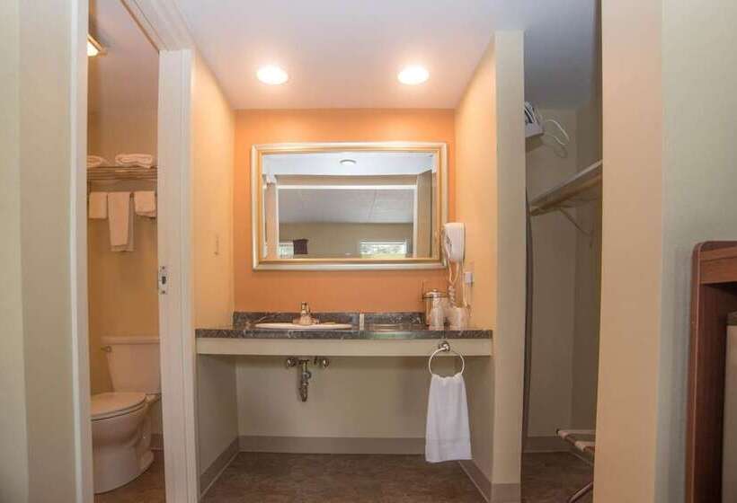 ユースホステル Colonnade Inn