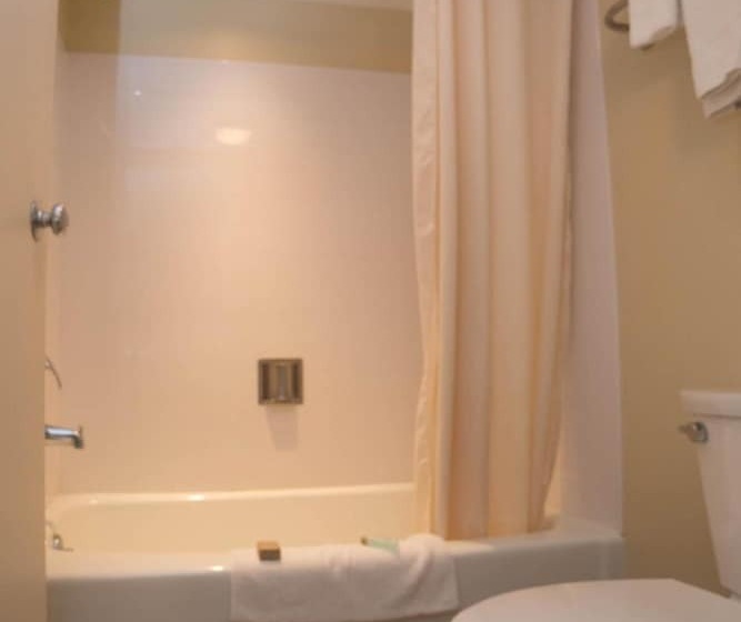 ユースホステル Colonnade Inn