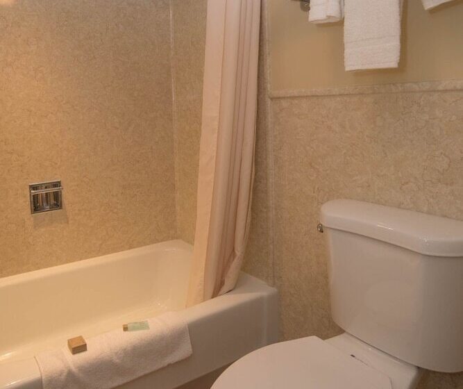 ユースホステル Colonnade Inn