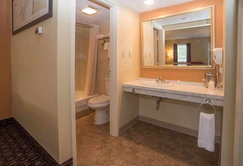 ユースホステル Colonnade Inn