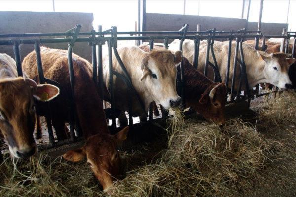 هتل Agriturismo Le Campagnole