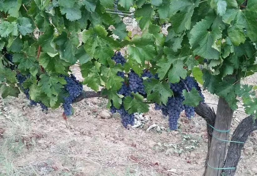Hotelli Agriturismo Macinatico