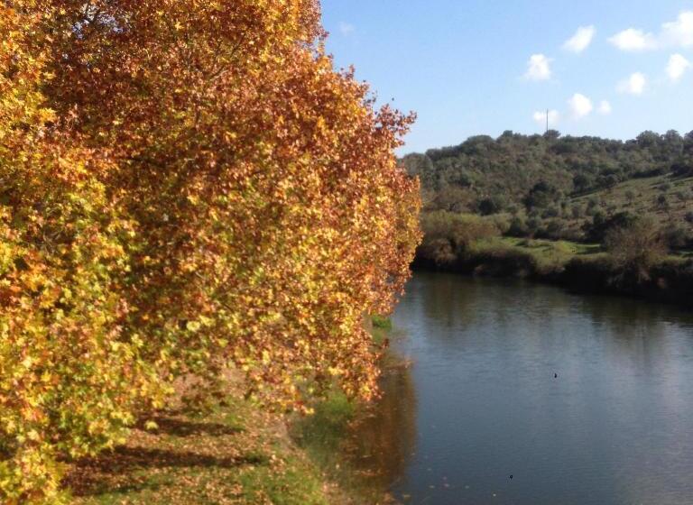 פנסיון Casa De Campo Alter Pedroso