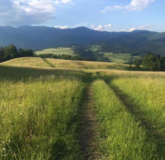 ペンション Penzion V Strani