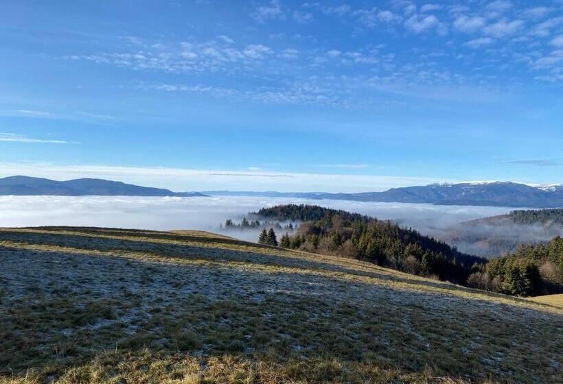 ペンション Penzion V Strani