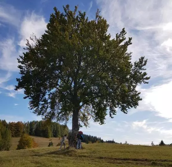 Majatalo Penzion V Strani